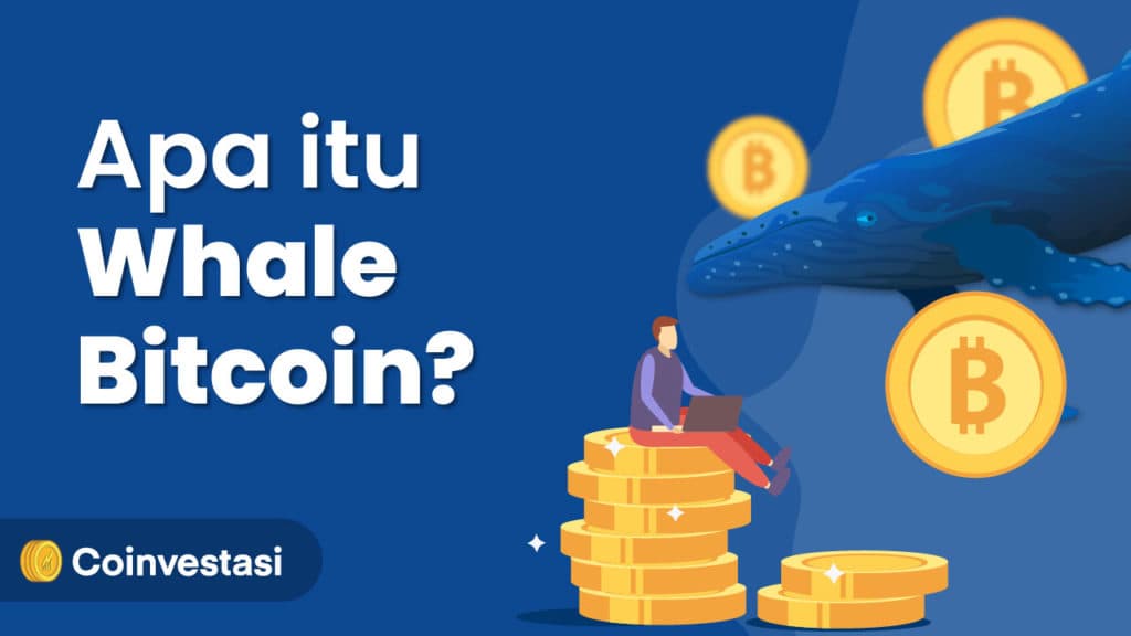 Semua Hal yang Perlu Diketahui Tentang Whale Bitcoin